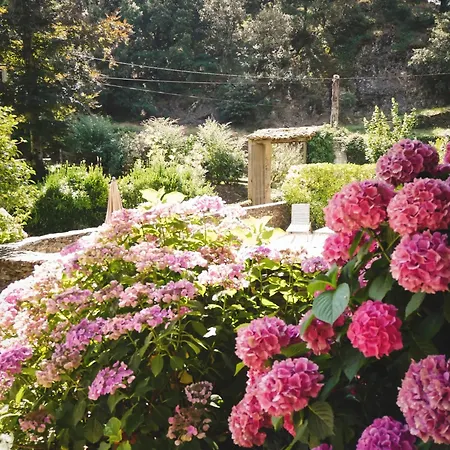 Le Magnan Au Clarou *